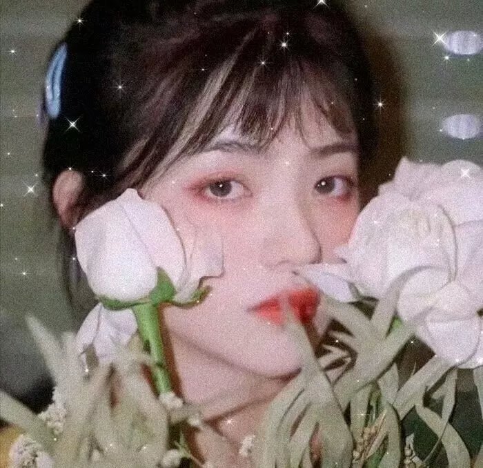 星际迷航：比基尼战神
